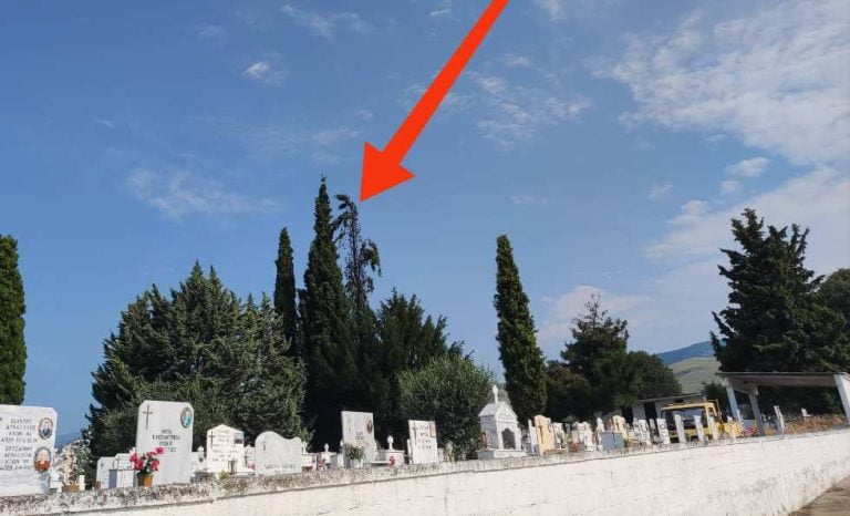 Σέρρες: Κεραυνός έπεσε σε κυπαρίσσι στα νεκροταφεία στον Σφελινό