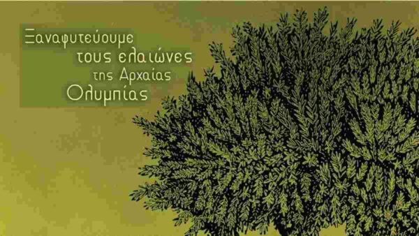 ελαιώνες