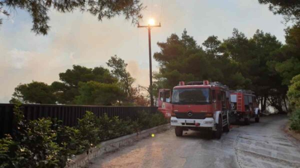 πυροσβεστικη