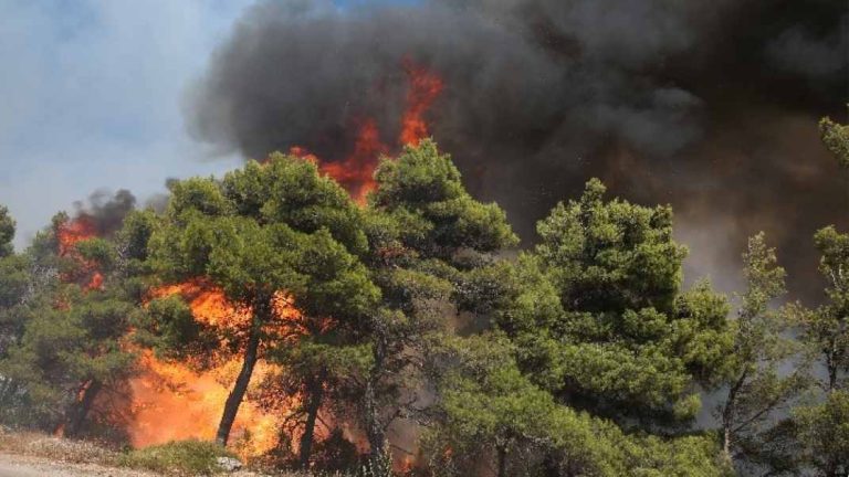 Μυτιλήνη: Μαίνεται η πυρκαγιά στην περιοχή των Βατερών- Έχουν καεί σπίτια και επιχειρήσεις