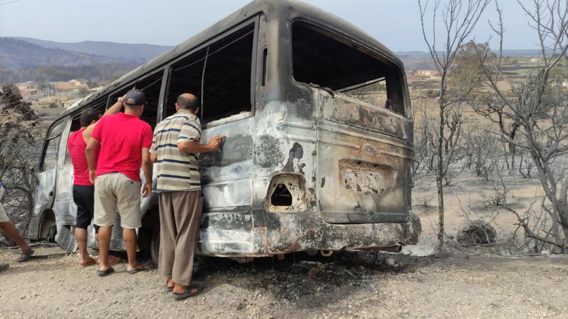 Αλγερία: Υπό έλεγχο τέθηκαν οι πυρκαγιές που άφησαν πίσω τους 38 νεκρούς