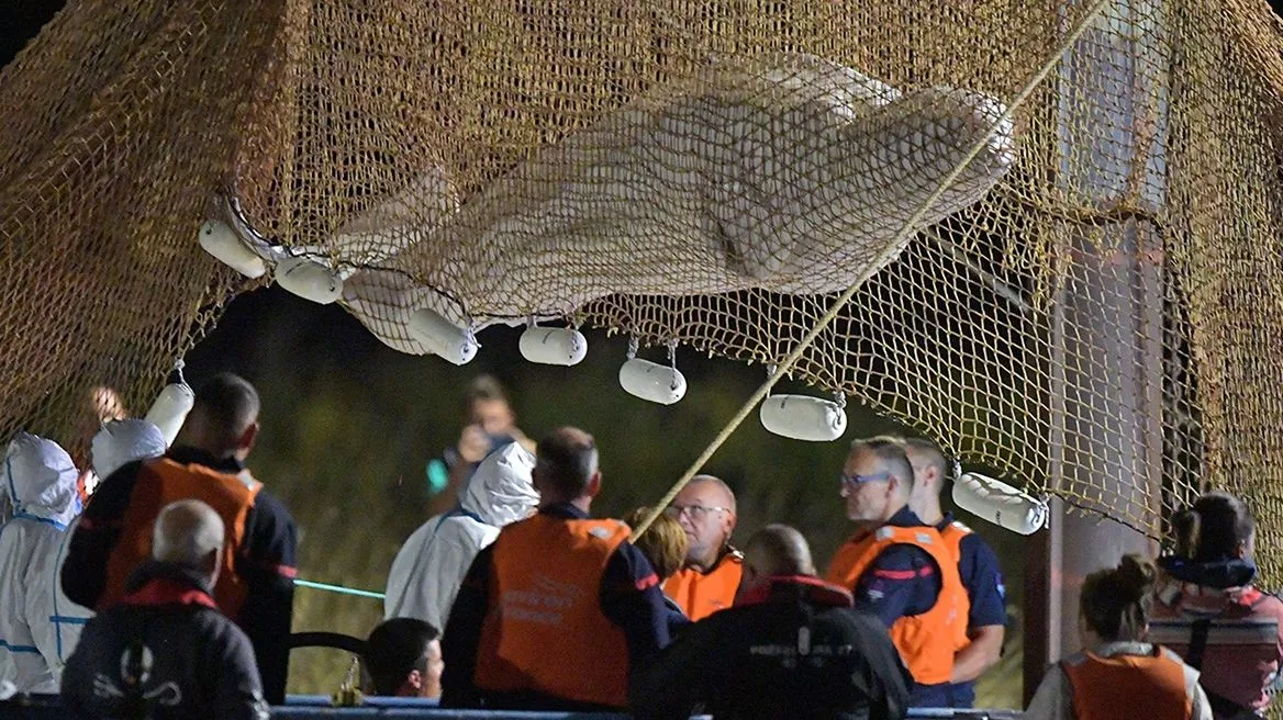 Γαλλία: Έβγαλαν από τα νερά του Σηκουάνα την παγιδευμένη φάλαινα Μπελούγκα