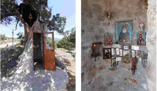 Στις πλαγιές του Γράμμου: Η Δεντροκκλησιά του Αγίου Παϊσίου, ο Νεραϊδότοπος και οι νερόμυλοι