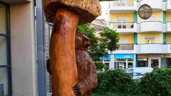 Κορμοί δέντρων