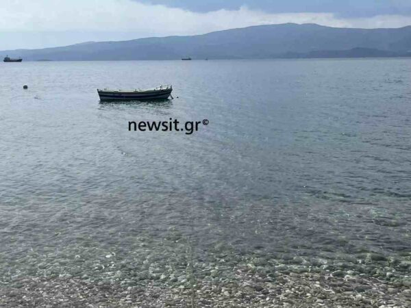 Πνιγμός 6χρονης: Κολύμπησαν με τα ρούχα μέχρι την βάρκα – «Μου γλίστρησε το παιδί από τα χέρια»