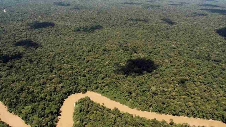 Πέθανε ο «Ινδιάνος Τανάρου», το σύμβολο της καταστροφής του Αμαζονίου