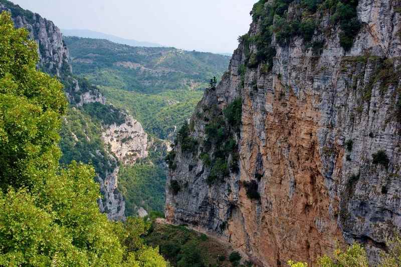 Το δάσος Σερρών ανάμεσα στα πιο παραμυθένια δάση της Ελλάδας  
