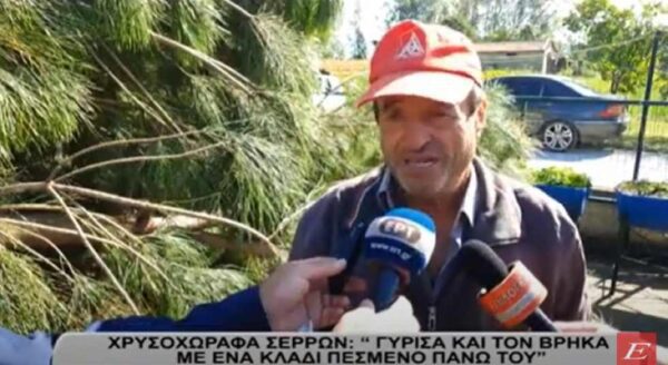 Σέρρες: Συγκλονισμένα τα αδέρφια του 69χρονου -"Τον σκότωσε το δέντρο που ο ίδιος φύτεψε"- video