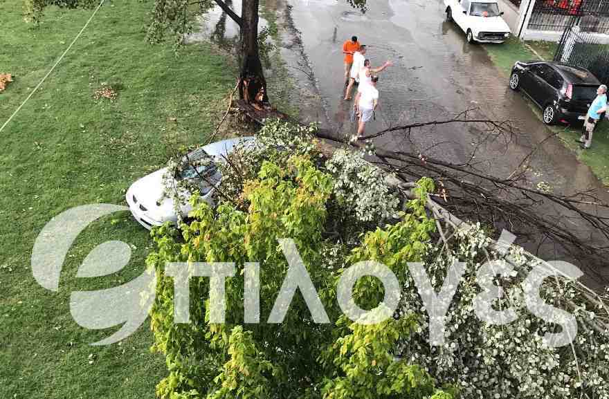 Θεομηνία στην Ηράκλεια- Καταστροφές σε περισσότερα από 3 αυτοκίνητα από πτώσεις δέντρων