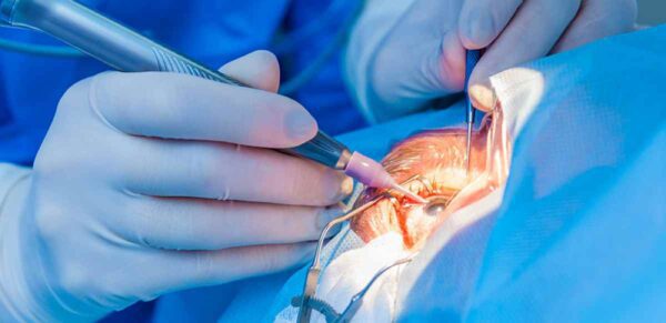 γονιδιακή θεραπεία