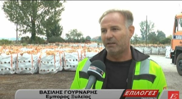 Στέρεψαν τα ξύλα στο νομό Σερρών- video