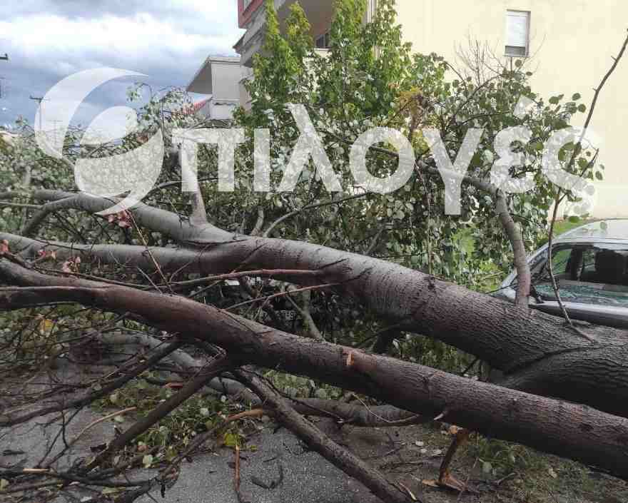 Θεομηνία στην Ηράκλεια- Καταστροφές σε περισσότερα από 3 αυτοκίνητα από πτώσεις δέντρων