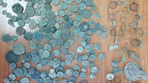 Θεσσαλονίκη: 55χρονος αρχαιοκάπηλος καλλιεργούσε και δενδρύλλια κάνναβης