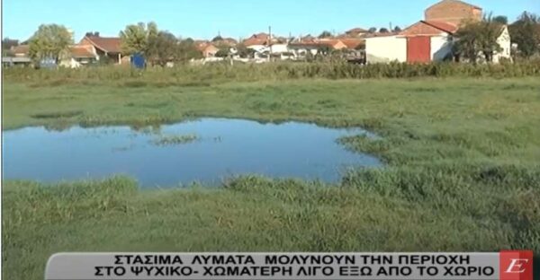 Σέρρες: Στάσιμα λύματα μολύνουν την περιοχή στο Ψυχικό- Χωματερή λίγο έξω από το χωριό- video