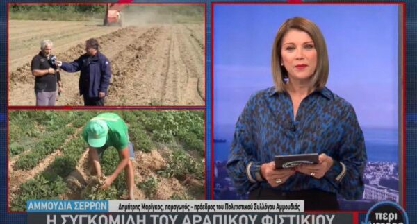 Αμμουδιά Σερρών: Το «Φιστικοχώρι» της Ευρώπης