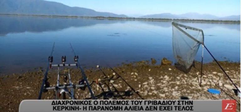 Σέρρες: Διαχρονικός ο πόλεμος του γριβαδιού στη λίμνη Κερκίνη- Δεν έχει τέλος η παράνομη αλιεία- video
