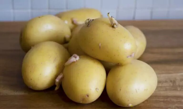 Τι πρέπει να ξέρετε για τις πατάτες που έχουν βγάλει φύτρες: Πώς να το εμποδίσετε αυτό