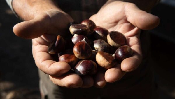 Φωτορεπορτάζ