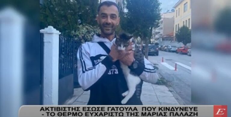 Σέρρες: Ακτιβιστής έσωσε γατούλα που κινδύνευε- Το θερμό ευχαριστώ της Μαρίας Παλάζη- video