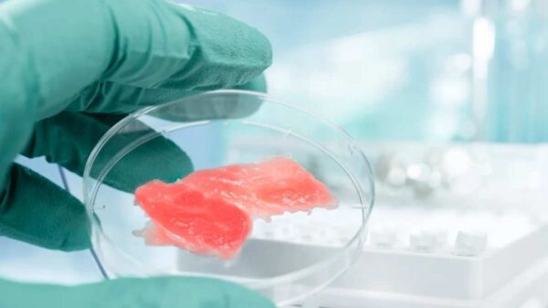 εργαστηριακό κρέας πουλερικών