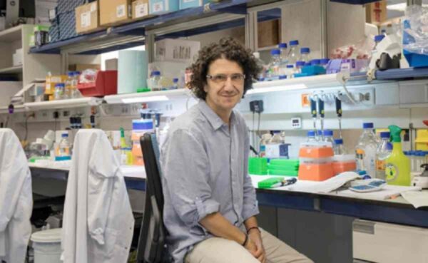 θεραπεία του καρκίνου