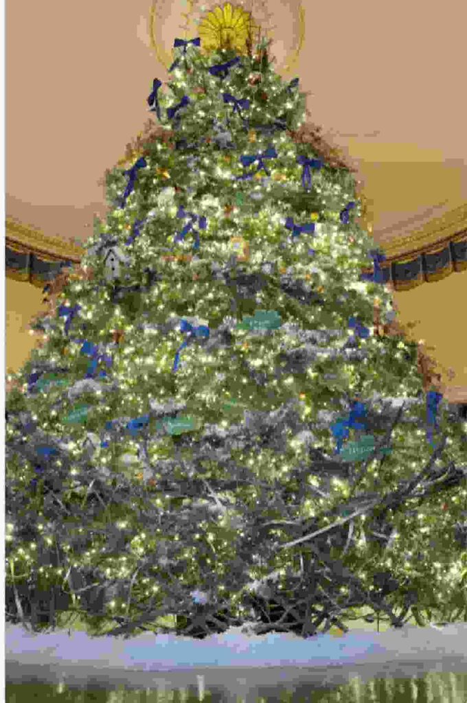 Τα ωραιότερα χριστουγεννιάτικα δέντρα των διασήμων- φωτο