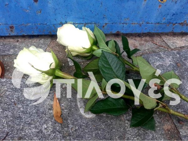 Θρήνος στις Σέρρες: Το απόγευμα η κηδεία του 11χρονου- Πώς συνέβη η τραγωδία, μαρτυρία συμμαθητή του