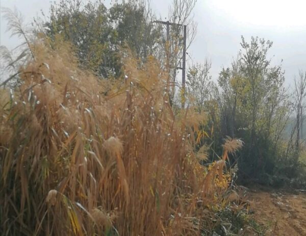 Δήμος Σερρών, Ανακοίνωση για την αντιπυρική περίοδο 2023: Καθαρισμός οικοπέδων, πρόστιμα