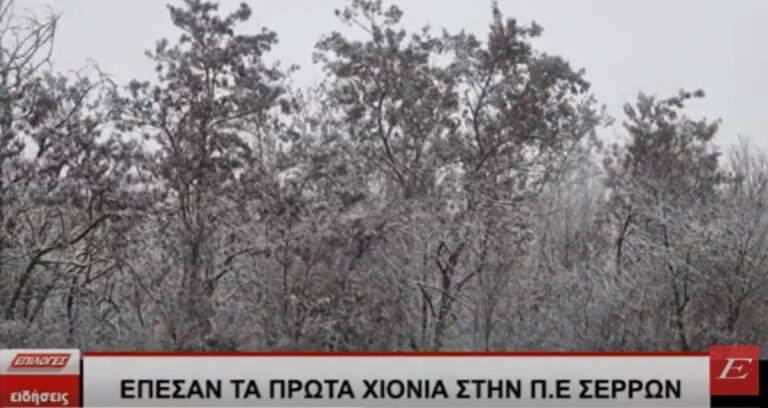 Έπεσαν τα πρώτα χιόνια στα ορεινά των Σερρών- video