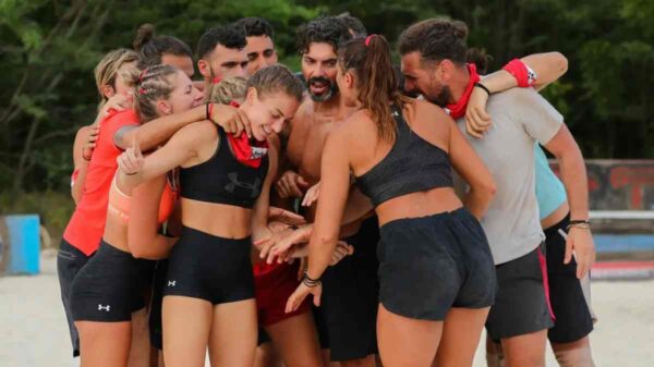 Survivor All Star