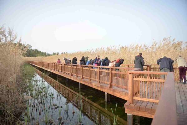 Εκπαιδευτικές επισκέψεις