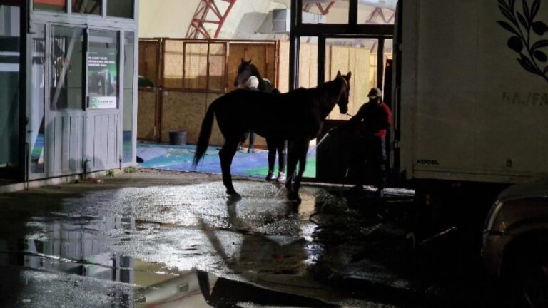 Γιατί θα βρεθούν ΑΥΡΙΟ 30 άλογα στους δρόμους της Θεσσαλονίκης ;