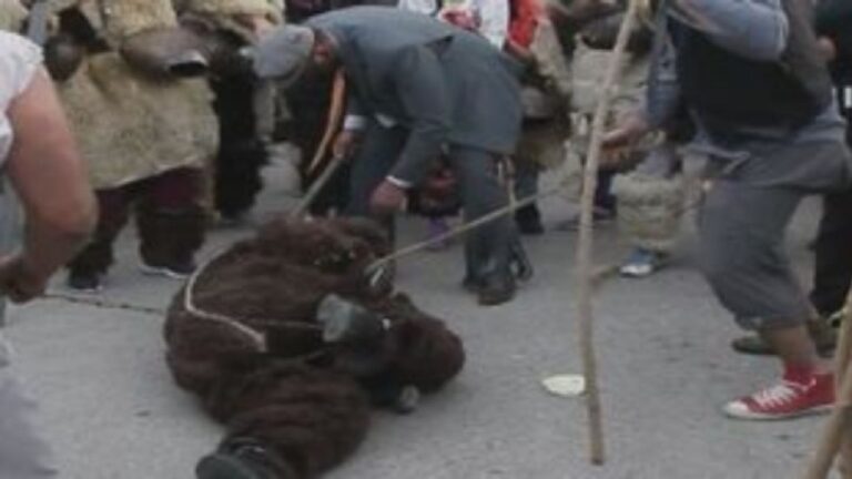 Καρδίτσα: Το έθιμο της κλοπής της αρκούδας αναβιώνει στο Αγναντερό