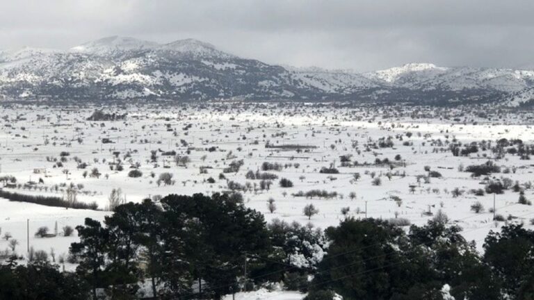 Χιόνια στο Οροπέδιο Λασιθίου στην Κρήτη - Διακοπές ρεύματος και κλειστά σχολεία