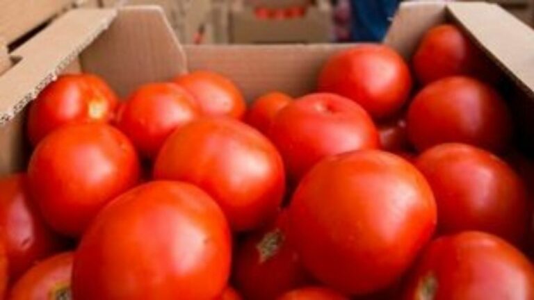 Βρετανία: Ντομάτες με το δελτίο στις μεγαλύτερες αλυσίδες σουπερμάρκετ