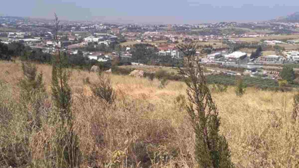 περιαστικό δάσος αναψυχής