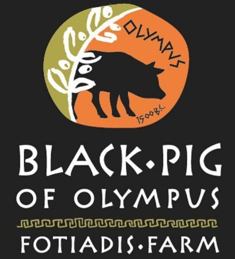 Μαύρος χοίρος: Το εθνικό μας γουρούνι μεγαλώνει στον Όλυμπο και τρέφεται με ελιά