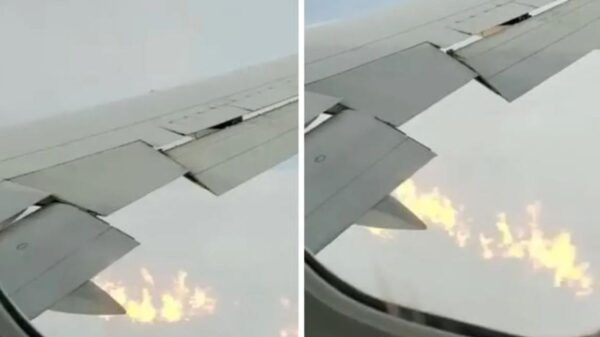 φωτιά εν πτήσει