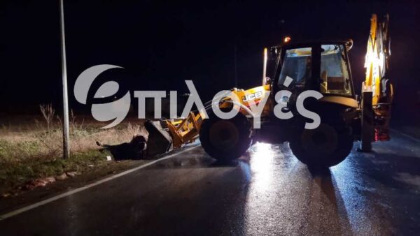 Σέρρες: Σφοδρή σύγκρουση αυτοκινήτου με άλογο