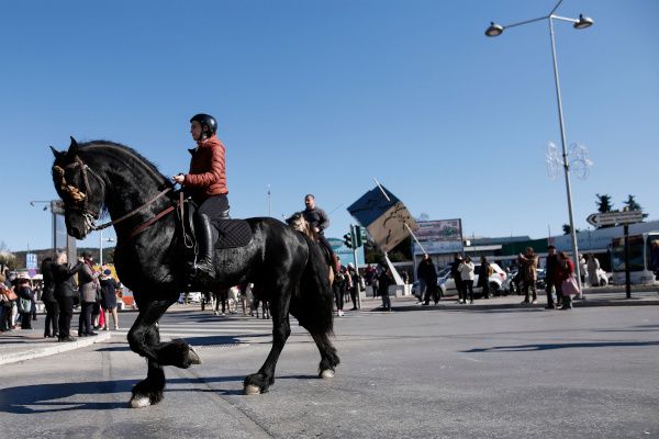 ΔΕΘ - Zootechnia: 30 άλογα έφεραν αέρα υπαίθρου στο κέντρο της πόλης