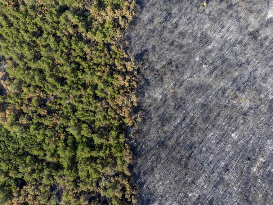 Εναέρια λήψη των καμένων δέντρων και ενός μέρος πράσινου στο Εθνικό Πάρκο Δάσους Δαδιάς, 30.6.2022