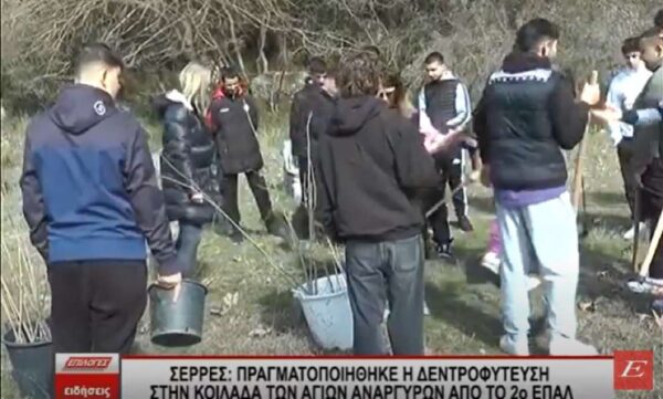 Δενδροφύτευση από τα παιδιά του 2ου ΕΠΑΛ Σερρών σε πάρκο της πόλης - video