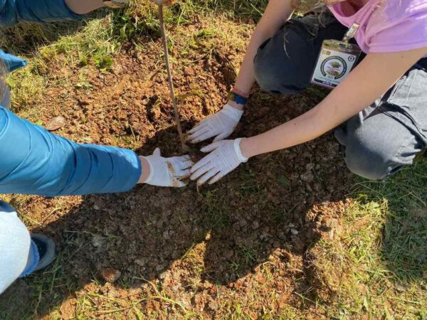 Αναδασώσεις σε τρεις περιοχές των Ιωαννίνων με πρωτοβουλία του ΥΠΕΝ