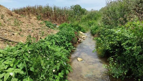 Επιχείρηση έριχνε ανεξέλεγκτα υγρά απόβλητα και ζωικά υποπροϊόντα σε ρέμα