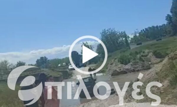 Σέρρες: Αστυνομικός της ομάδας ΔΙΑΣ έσωσε από πνιγμό 3χρονο κοριτσάκι και τον πάππου του