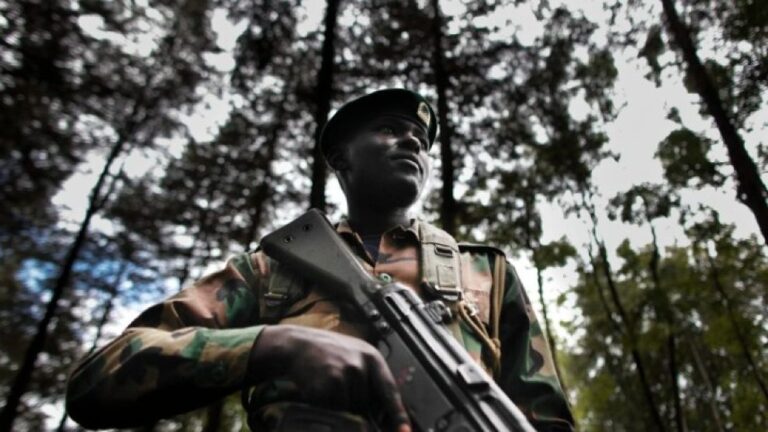 Κένυα: Θαμμένα σε δάσος βρέθηκαν τα πτώματα 47 πιστών μιας αίρεσης, που νήστεψαν μέχρι θανάτου