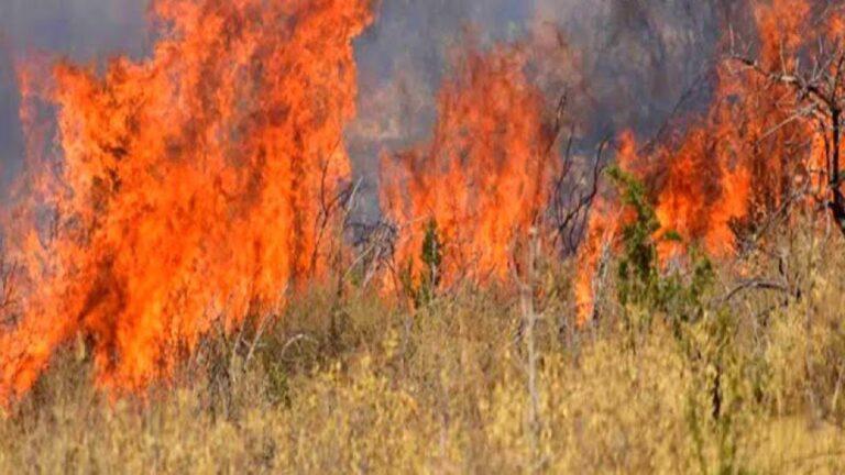 «Προσοχή στην καύση υπολειμμάτων καλλιεργειών- Κίνδυνος πυρκαγιάς…»