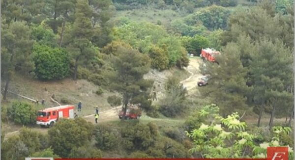 Δείτε βίντεο: Πυροσβεστική άσκηση «Διά Πυρός 2023» για δασική πυρκαγιά μεγάλης έκτασης στις Σέρρες