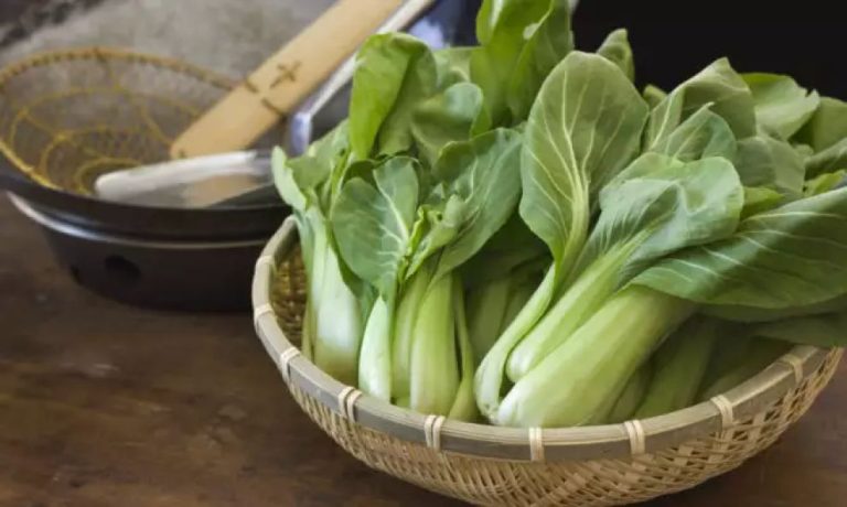 Μποκ τσόι: Πόσο θρεπτικό είναι το κινέζικο λαχανικό και τι προσφέρει στην υγεία