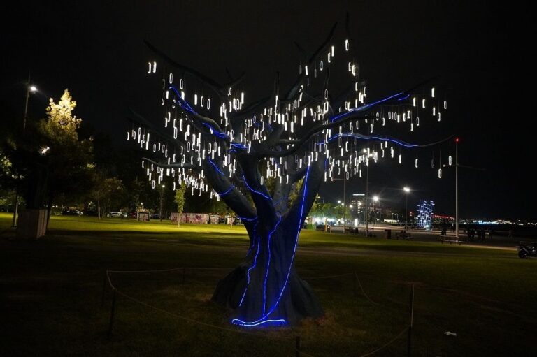 Θεσσαλονίκη: «Άνθισε» το φωτοβολταϊκό δέντρο στη Ν. Παραλία - Εντυπωσιάζουν οι 500 φωτεινοί «καρποί» του